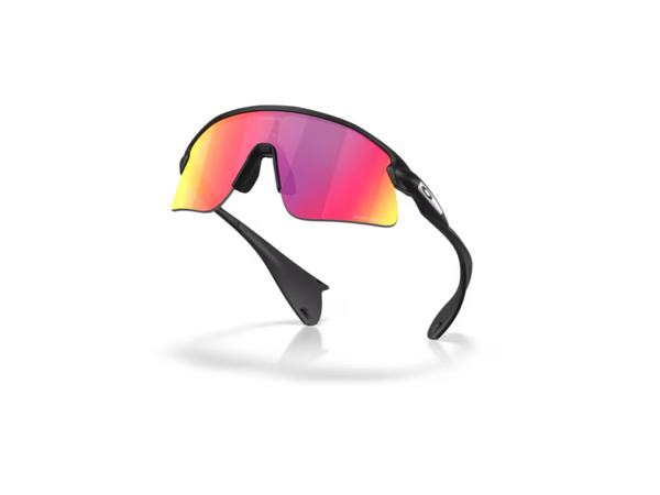 GAFAS INYECTADO UNISEX SOL