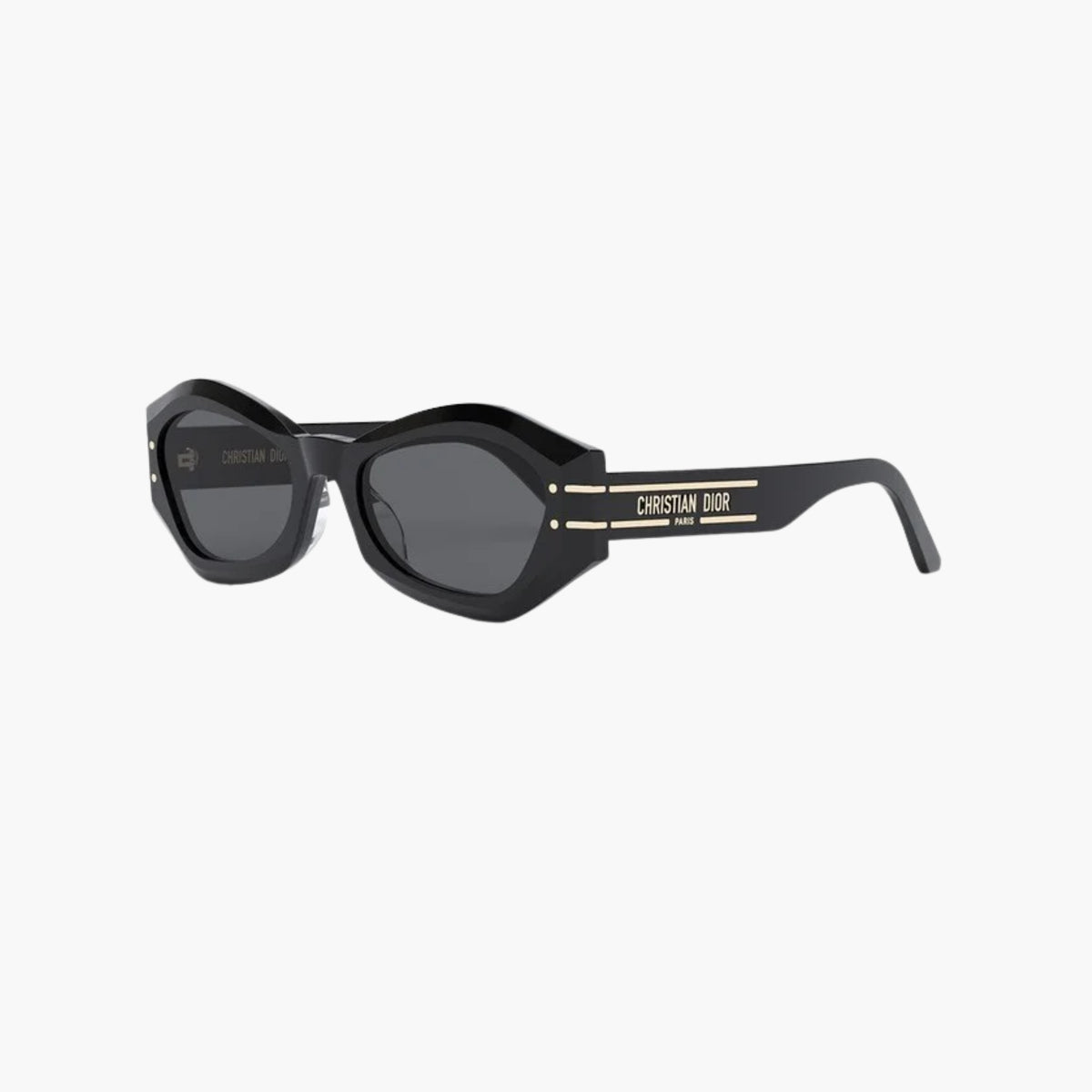 GAFAS DIOR DIORSIGNATURE B1U-10A0