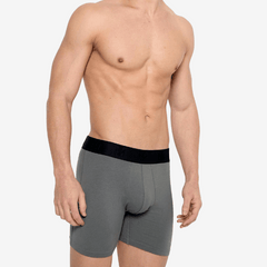 BRIZIO BOXER MEN GRIS