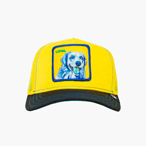 DOGGY TRIP YELLOW